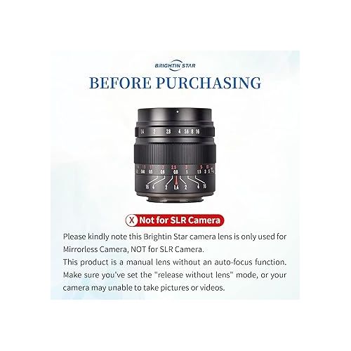  50mm F1.4 Big Aperture APS-C Manual Focus Mirrorless Camera Lens, Fit for Sony Alpha ZV-E10, A7IV, A6400, A7II, A7SIII, A7III, A7C, A6600, A6100, A7RIV, A6000, A7RIII (Black)