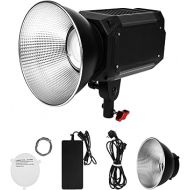 Came-TV 220W LED Video Light,Tioga COB Continuous Output Bi-Color 2700K-6500K with Reflector,17879Lux@1m,Lighting Effects,Bowens Mount,App Control,Video Spotlight for YouTube TikTok Video Recording