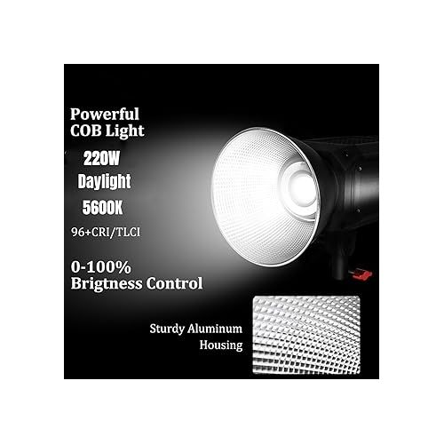  Came-TV 220W LED Video Light,Tioga COB Continuous Output Daylight 5600K with Reflector, 20551Lux@1m, Lighting Effects,Bowens Mount,App Control, LED Video Spotlight for YouTube TikTok Video Recording