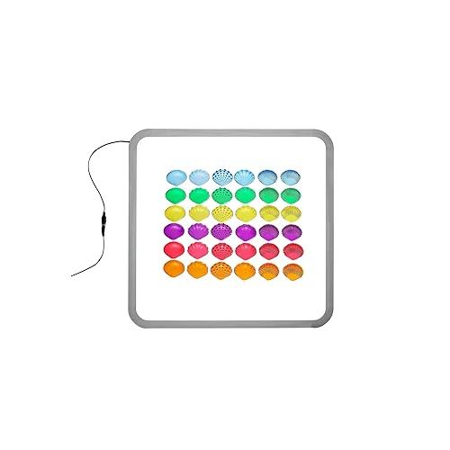  edxeducation Tactile Shells - Translucent - 6 Textures and Colors - Ages 18m+ - Explore STEM Concepts via Light Panels and Sensory Bins, Multicolor, Set of 36