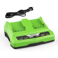 energup Dual Port Rapid Charger for Greenworks 24V Battery for G-24 Greenworks 24V Lithium Battery Compatible with Greenworks 24V Batteries 29842 29852 for 29862 Greenworks 24V Battery Charger