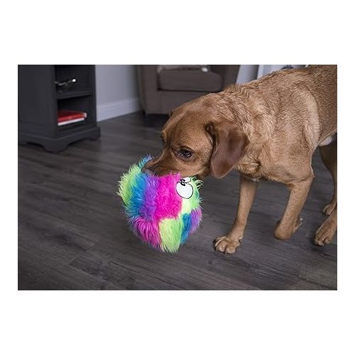  goDog Furballz Squeaky Plush Ball Dog Toy, Chew Guard Technology - Rainbow, Large