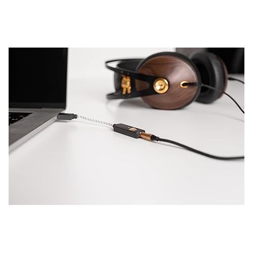  iFi GO link - DAC & Amplifier - USB-C to 3.5mm Adapter - Improve Headphone Sound from any Device - Gold-plated 3.5mm Headphone Socket - Flexible Cable - Supports Hi-Resolution 32-bit/384kHz/DSD256/MQA