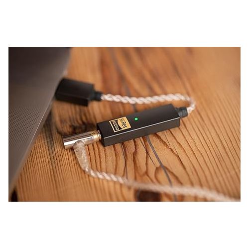  iFi GO link - DAC & Amplifier - USB-C to 3.5mm Adapter - Improve Headphone Sound from any Device - Gold-plated 3.5mm Headphone Socket - Flexible Cable - Supports Hi-Resolution 32-bit/384kHz/DSD256/MQA