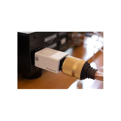  iFi SilentPower | DC Blocker+ | IEC Connector, Blocks Any DC Offset, Enhances The Quality of AC Electricity for Your Audio and AV Aystems, Eliminate Transformer Hum.