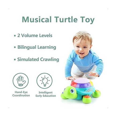  iPlay, iLearn Baby Musical Turtle Toy, Infant Crawling Tummy Toys W/ Light Sound, Toddler Spanish English Bilingual Learning Educational, Birthday Gifts 6 7 8 9 10 12 18 Month 1 Year Old Boy Girl