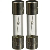 ikan Replacement Fuses for ID500 LED Light (2)