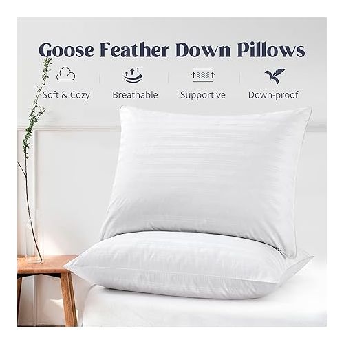  puredown® Goose Feather Down Bed Pillows for Sleeping with 2 Outer Protectors, Hotel Standard/Queen Pillows Set of 2 with Cotton Fabric Cover (Pack of 2)