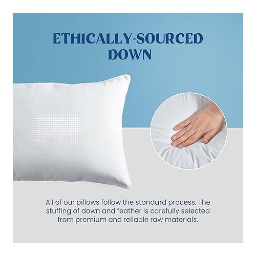  puredown® Goose Feather Down Pillows, Bed Pillows for Sleeping with 2 Outer Protectors, Hotel Standard/Queen Pillows Set of 2 (Pack of 2)