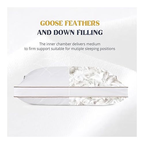  puredown® Goose Feathers and Down Pillow for Sleeping Gusseted Bed Hotel Collection Pillows, Queen, Set of 2