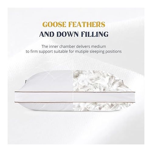  puredown® Goose Feathers and Down Pillow for Sleeping Gusseted Bed Hotel Collection Pillows, Standard, Set of 2