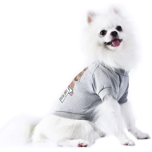 스타워즈 Star Wars for Pets Star Wars Chewbacca Original Co-Pilot Dog Tee | Star Wars Dog Shirt for Large Dogs | XX-Large