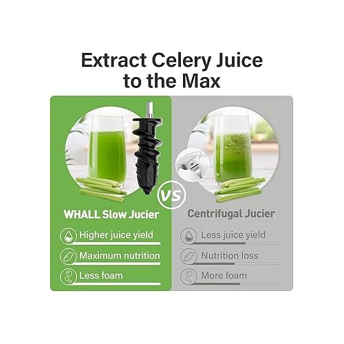  whall Masticating Slow Juicer, Professional Stainless Juicer Machines for Vegetable and Fruit, Touchscreen Cold Press Juicer with 2 Speed Modes