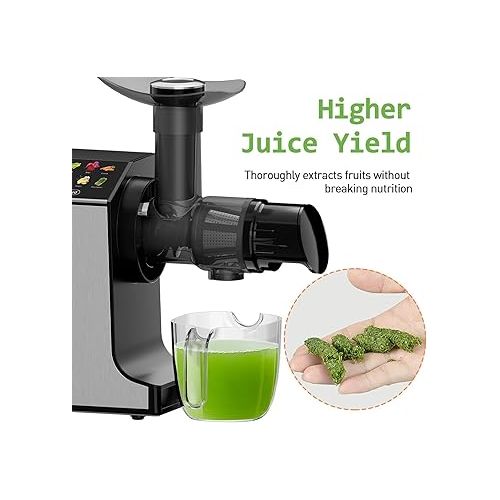  whall Masticating Slow Juicer, Professional Stainless Juicer Machines for Vegetable and Fruit, Touchscreen Cold Press Juicer with 2 Speed Modes