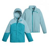 Peterglenn The North Face Mt View Triclimate Ski Jacket (Girls)