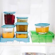 IPlay Fresh Baby Food Glass Cubes (4oz4pk)