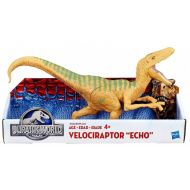 Toywiz Jurassic World Velociraptor Echo Action Figure