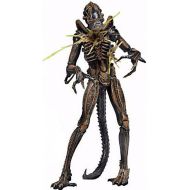 Toywiz NECA Aliens Series 12 Battle-Damaged Alien Xenomorph Action Figure [Brown]
