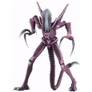 Toywiz NECA Alien vs Predator Arcade Appearance Razor Claws Alien Action Figure [Ultimate Body] (Pre-Order ships February)