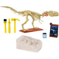 Toywiz Jurassic World Fallen Kingdom Tyrannosaurus Rex STEM Paleontologist Kit
