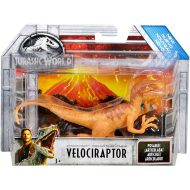 Toywiz Jurassic World Fallen Kingdom Attack Pack Velociraptor Action Figure [Orange]