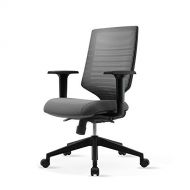 SIDIZ T30 Home & Office Multifunction Ergonomic Swivel Task Chair, Executive Chair, Gaming Chair (TN302DA): High Back, Gradation Mesh Back, Adjustable Arms/Seat Slide, Comfort Seat