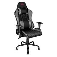 Trust Gaming Trust GXT 707R Resto Gaming Chair with Full Ergonomic adjustments - Grey