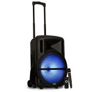 Acoustic Audio by Goldwood Powered Speaker Cabinet, Battery 15 Bluetooth LED Display and Wireless Mic (PRTY152)