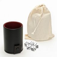 Wood Expressions WE Games Black Vinyl Dice Cup with Dice and Storage