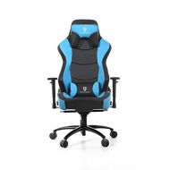 Triumph Gamer TG Video Gaming Chair/Office Chair/Executive Chair -Black&Blue- Molded Foam/3D Adjustable Armrests/Environmental PU leather …