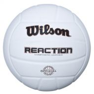 Wilson Light Volleyball