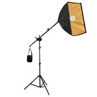 Lusana Studio 24 Gold Softbox Lighting Reflector and Boom Arm Stand Kit with 50W CFL Photo Bulb, Tripod Light Stand, Swivel Head Boom Arm, and Sand Bag, LNA1031