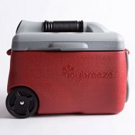 IcyBreeze Cooler Chill Package | No Battery, Direct Power Unit | Ultimate Stationary Package