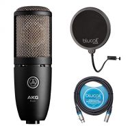 AKG P220 Large-diaphragm Condenser Microphone for Vocal Recording BUNDLED WITH Blucoil 10-Ft Balanced XLR Cable AND Pop Filter