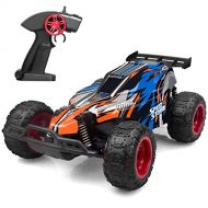 FREE TO FLY Remote Control Car Electric Racing Car Off Road 1:22 Scale Buggy Vehicle 2.4GHz 2WD High Speed Electric Race Hobby Rock Electric Buggy Best Toy Car for Kids (Blue)