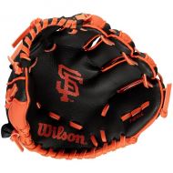 Youth San Francisco Giants Wilson Baseball Glove