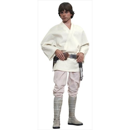 핫토이즈 Hot Toys Star Wars Episode IV A New Hope Luke Skywalker 16 Scale Action Figure