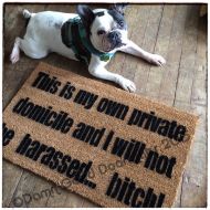 DamnGoodDoormats My own private domicile doormat Breaking Bad go away new house gift bitch