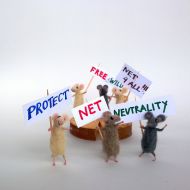 /CozyMilArt Protect NET neutrality. Miniature felt mouse on strike. Miniature animals fighting for the open internet.