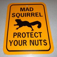 SignsandStrings Mad Squirrel Protect Your Nuts Funny Squirrel Sign 6x8 inch Aluminum metal garden sign