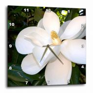 3dRose Magnolia tree - US04 DFR0009 - David R. Frazier, Wall Clock, 10 by 10-inch