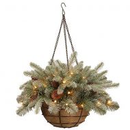 National Tree 20 Feel Real Frosted Arctic Spruce Hanging Basket with Cones and 35 Warm White Battery Operated LED Lights with Timer