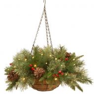 National Tree 20 Colonial Hanging Basket with Battery Operated Warm White LED Lights