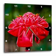 3dRose Hawaii, Protea flower., Wall Clock, 10 by 10-inch