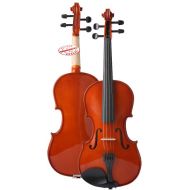 DLuca Meister Student Violin Outfit 12