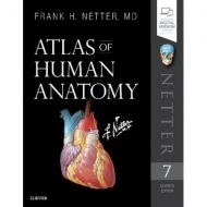 Frank H Netter Atlas of Human Anatomy