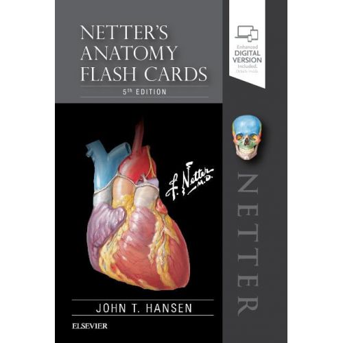  John T Hansen Netters Anatomy Flash Cards (Other)