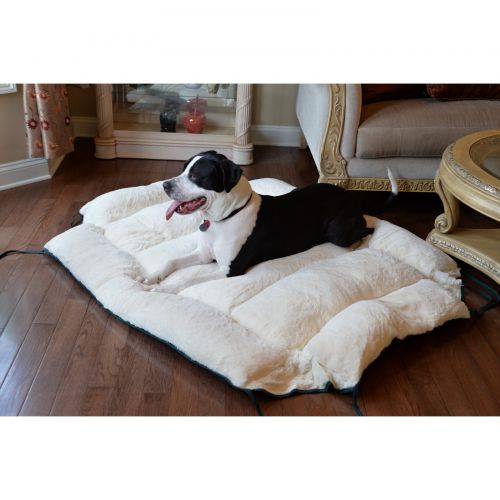  Armarkat Pet Bed 64-Inch by 50-Inch D04HMLMB- Large, Green & Ivory