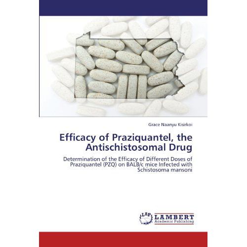  Grace Naanyu Kisirkoi Efficacy of Praziquantel, the Antischistosomal Drug