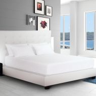 Bare Home Twin XL Mattress Protector + 2 Pillow Protectors Bundle - Premium Hypoallergenic 100% Waterproof - Vinyl Free - 10 Year Warranty